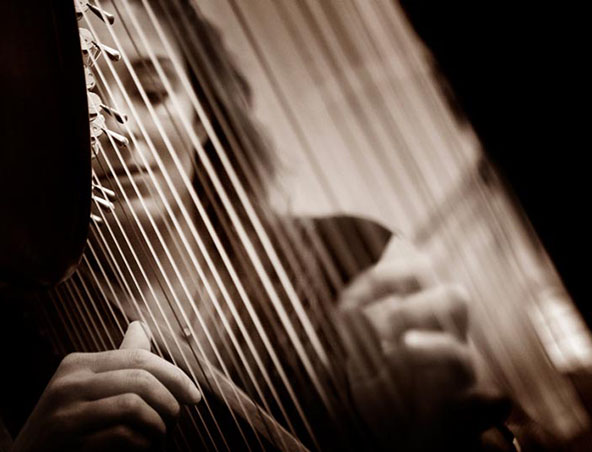 Noosa Wedding Harpist